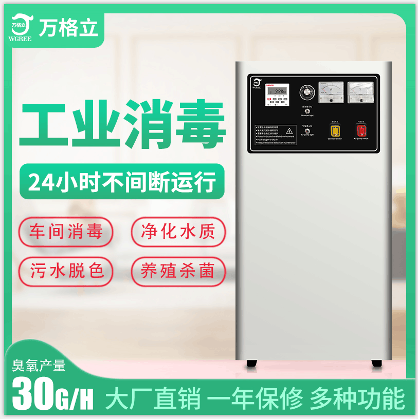 風(fēng)冷30G臭氧機.png